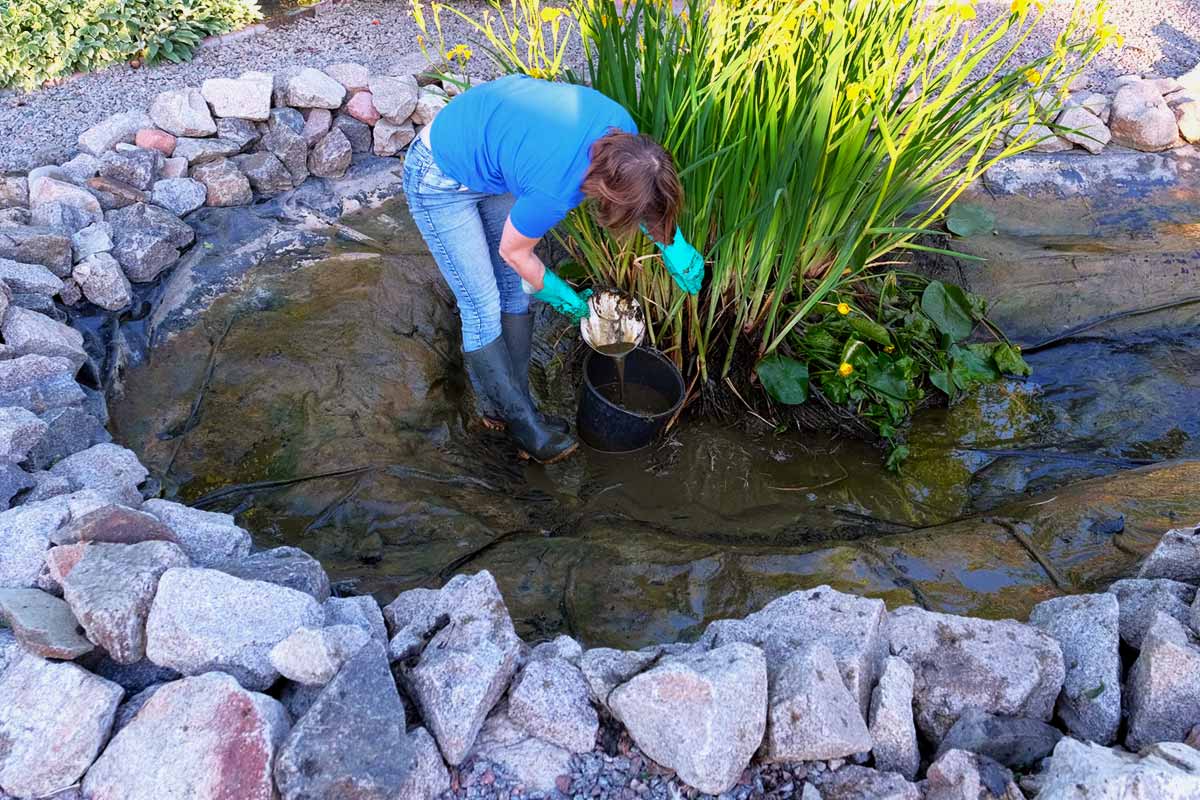 Gartenteich anlegen Anleitung Alle Schritte zum fertigen Teich