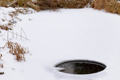 Gartenteich anlegen Anleitung Alle Schritte zum fertigen Teich