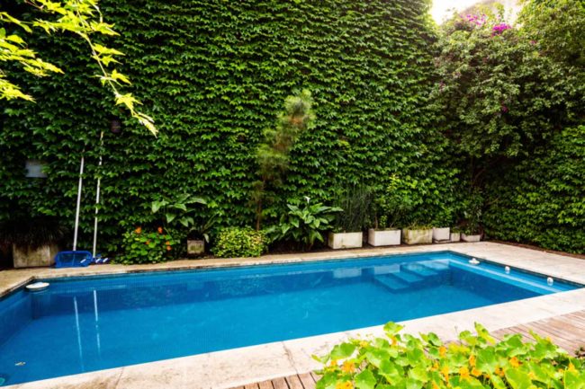 Gartengestaltung mit Pool und Sichtschutz