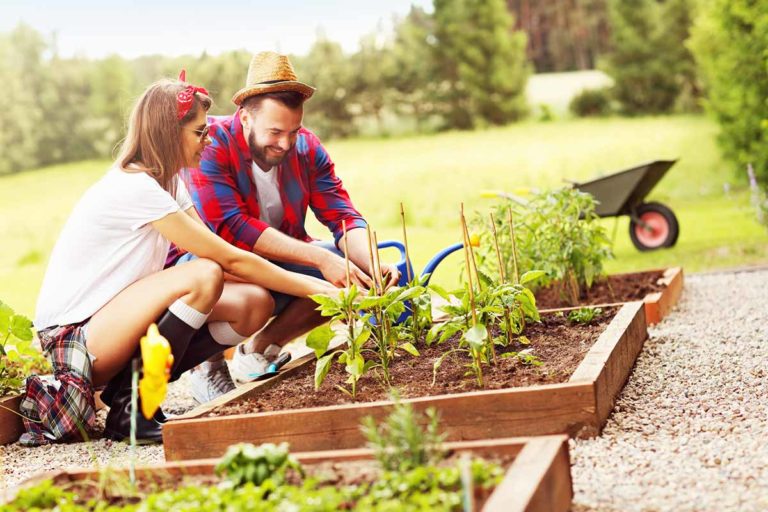 Was ist im Garten im Sommer zu tun?