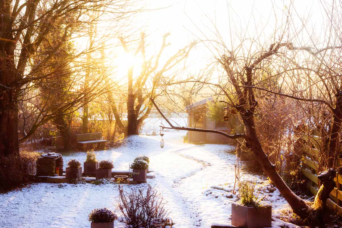 Garten im Winter Was ist zu tun? Tipps & Ideen