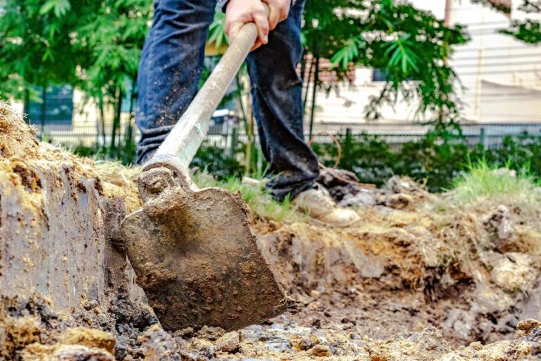 Garten begradigen Anleitung,Tipps & Tricks