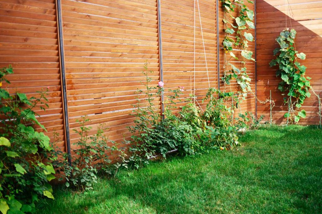 Sichtschutz im Garten selber bauen Anleitung
