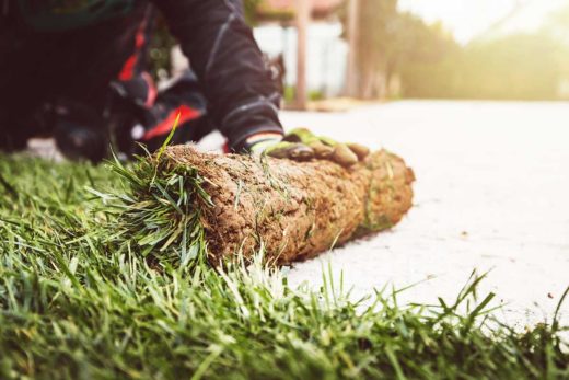 34+ Was Kostet Verlegen Von Rollrasen, Was kostet das verlegen meines